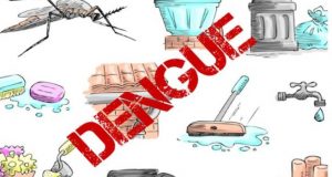 Sốt xuất huyết DENGUE, cách phòng chống và chăm sóc trẻ bị sốt xuất huyết DENGUE