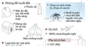 Phòng chống bệnh do virut ZIKA