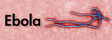 Bệnh do virus EBOLA